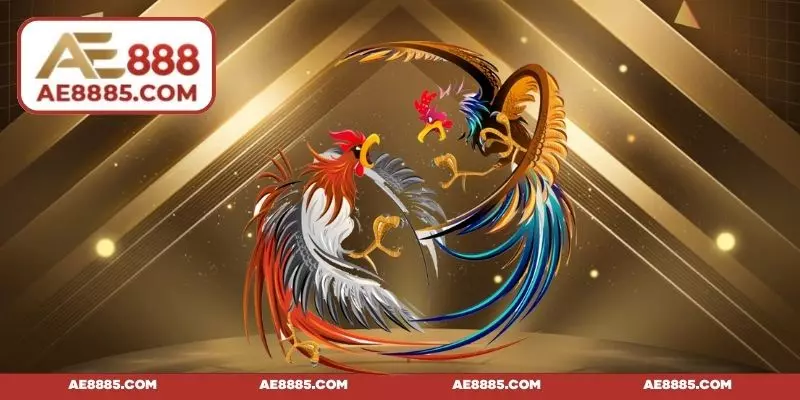 Thời gian và phân định thắng bại trong trận chơi
