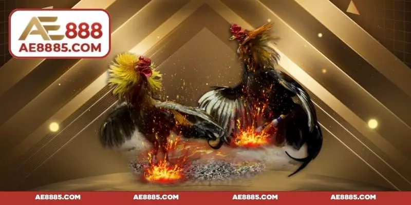 Đem tới giải thưởng khủng cho người may mắn