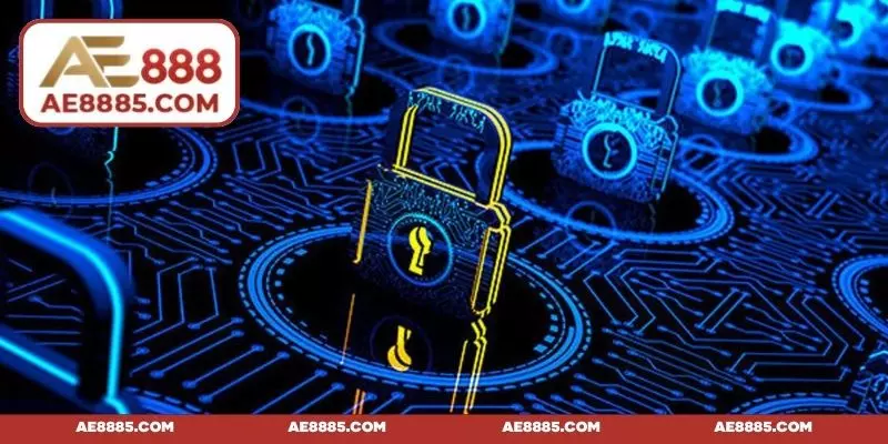 Những quy định về việc sở hữu tài khoản cược