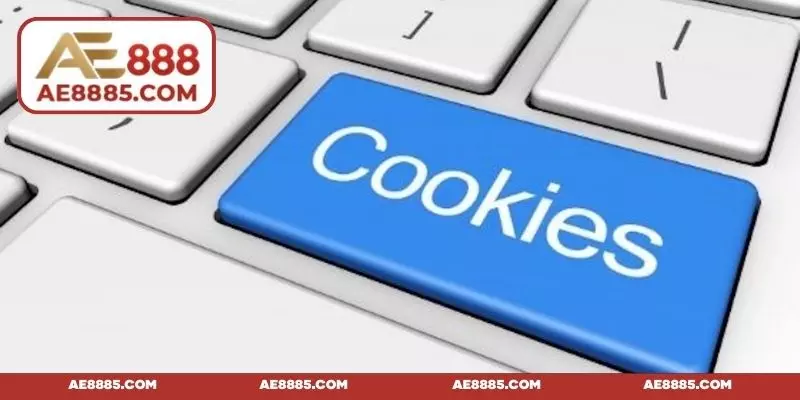 Phạm vi chính sách Cookie khi thu thập dữ liệu